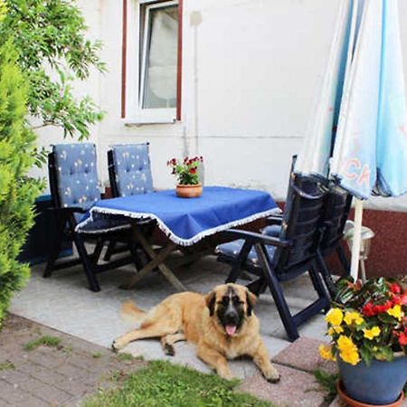 Appartement Isabell à Zinnowitz Extérieur photo