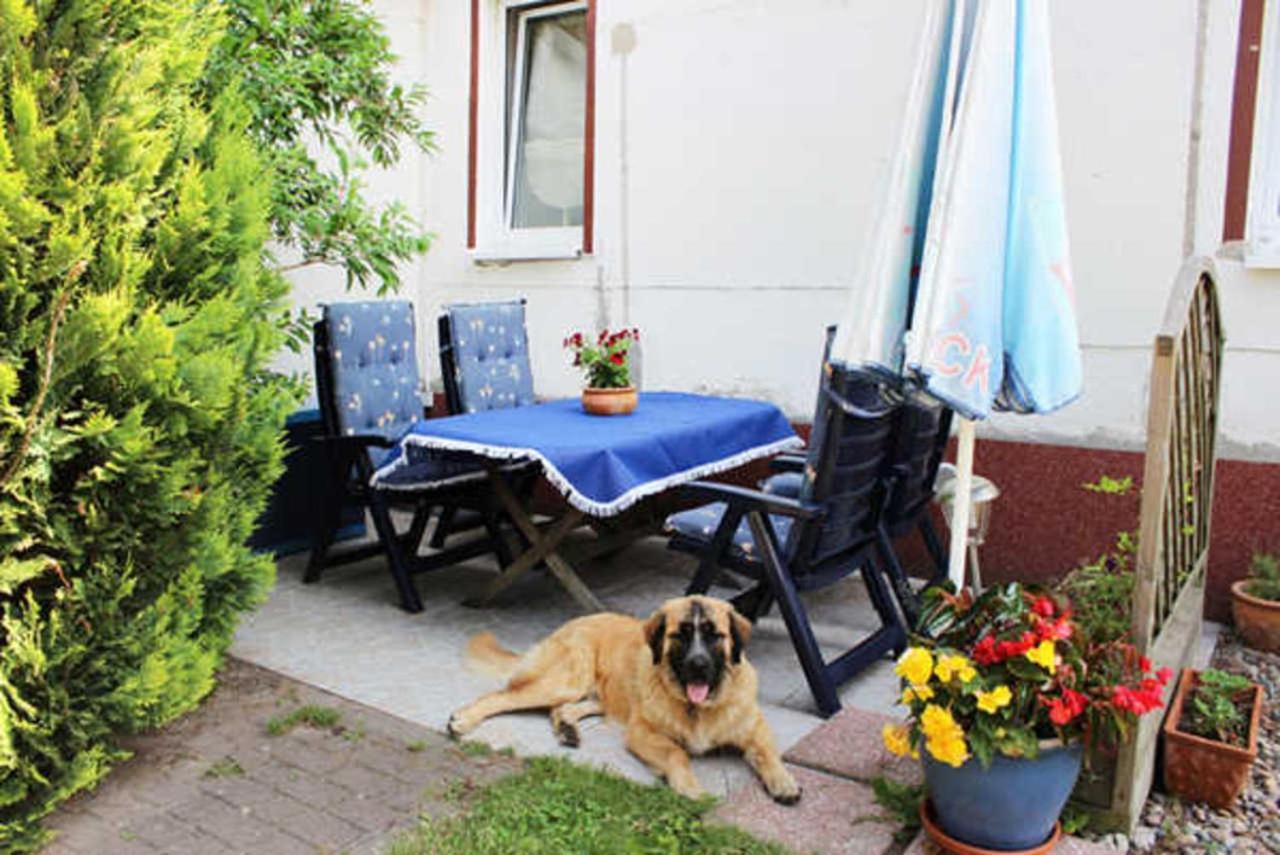 Appartement Isabell à Zinnowitz Extérieur photo